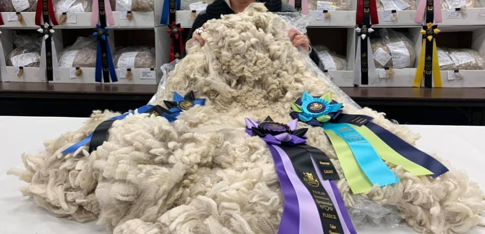 Fleece Show