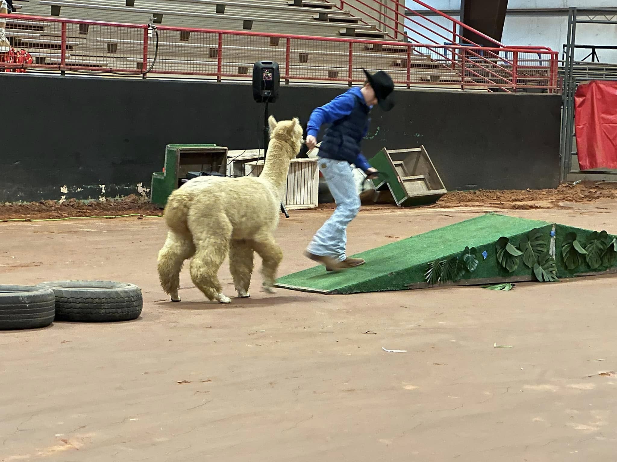 Youth Performance Event