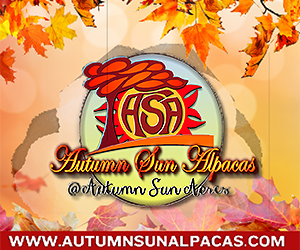 Autumn Sun Alpacas