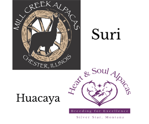 Heart and Soul Alpacas