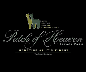 Patch Of Heaven Alpaca Farm