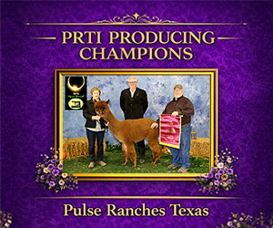 Pulse Ranches Texas