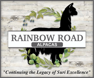 Rainbow Road Alpacas