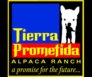 Tierra Prometida Alpacas