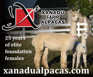 Xanadu Farm Alpacas